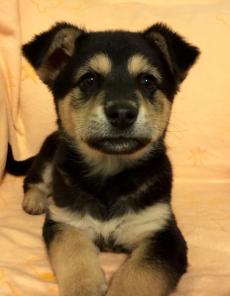 ����� � ���