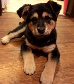 ����� � ���