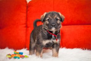 �������������� ����� � ���