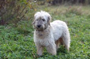 ����� ���������� ������� � ���