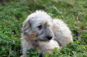 ����� ���������� ������� � ���