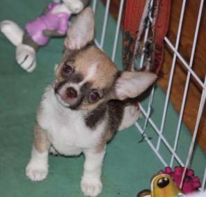 �������� �������  � ������������ ����������