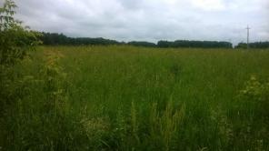 12.5 ����� � ��������.