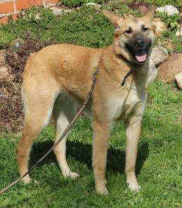 ������� ������ ���� ��� ������ � ������.(����� �������, �����, �����������, ������ ���)