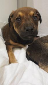 ������ ���� ����� ��� � ������� ������!