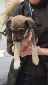 ������ ���� ����� ��� � ������� ������!