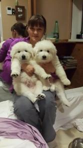 ����ae��� ������� �e�o� �ape���