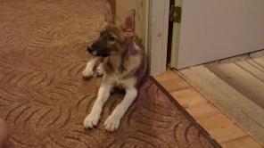 ����� ���� ���