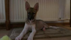 ����� ���� ���