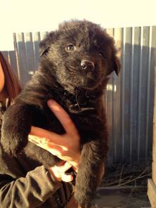 ����� �� ������ �������� ������� �� ������������ ���������