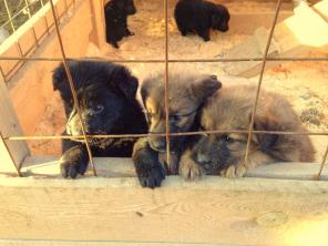 ����� �� ������ �������� ������� �� ������������ ���������