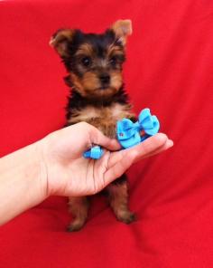 ����������� ������