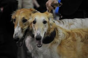 ����� ������� ������ ������