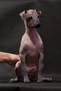 �������������� ����� ������������ ����� ������