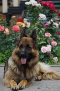 ������ �������� ������� ��� �����.