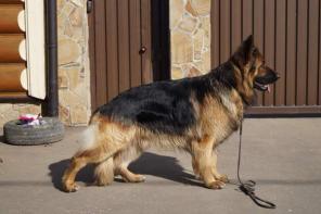 ������ �������� ������� ��� �����.