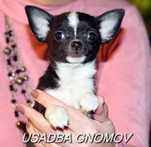 �������� �� ��������� ��������� ������