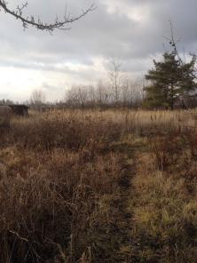 ��������� ��-�� 25 ���  �-�� ����� ������  ������