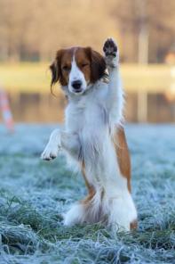 ������������ �����