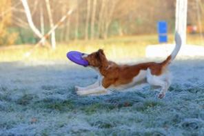 ������������ �����