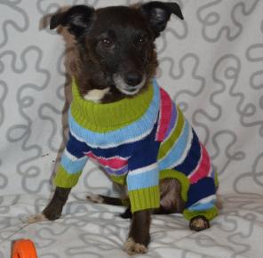 ������ ����, ��������� �������� ������� � ���!!