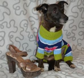 ������ ����, ��������� �������� ������� � ���!!