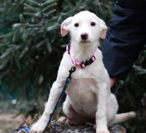 ���������� ����� ���� ���