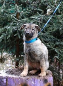 ���������� ����� ���� ���