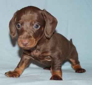 ����� �������������� �����