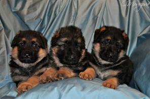 �����  �� ����� � ������