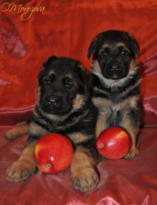 �����  �� ����� � ������