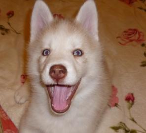 ������������ ����� �����