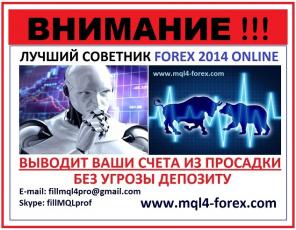  Forex  