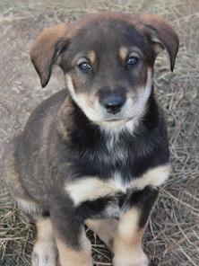 �������� �������� �����, �������� � �������, ������ ������� � ������ ����