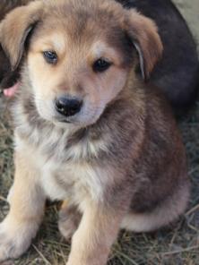 �������� �������� �����, �������� � �������, ������ ������� � ������ ����