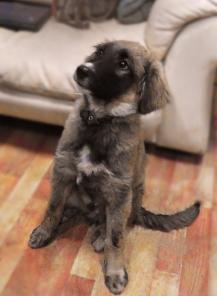 ������� �������� �����, �������, � ���.