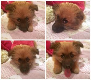 ����-����� �������� ������, ��������, ���������, ��������� � ������ ����