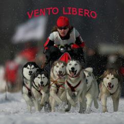 ������� ������� ������