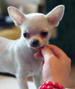 �������� �� ��������� ��������� ������