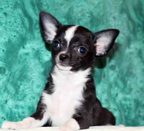 �������� �� ��������� ��������� ������