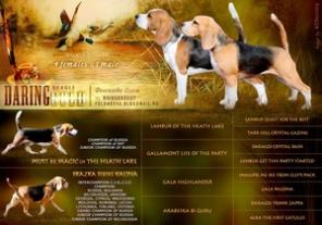 ����� �����