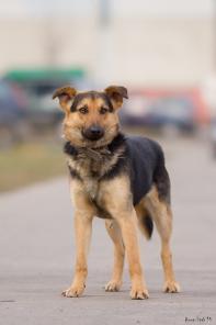 ��������� ����. ���������. ��� ���! � ������ ����!