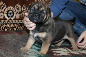 ��������� ����� �� �� ��.