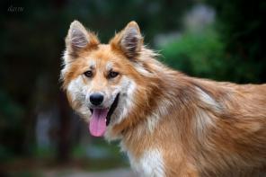 �����, ������� � �������� ����, � ��� ������ �����!