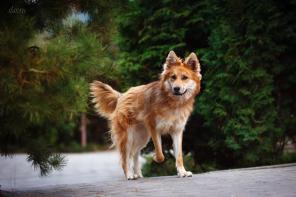 �����, ������� � �������� ����, � ��� ������ �����!