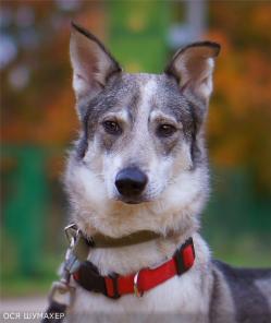 �������� �������� ���� ���!