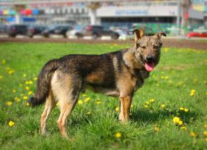 �������������� ��������� ����� ���� �������!