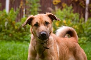 ����� ���������� ����� ��������� � ���!