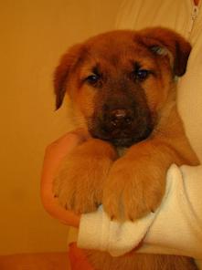 ����� �� ������������ ������ ����� � ���