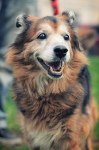 ������. ������� �������-�������� � ������� ����! (���)